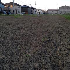 農園｜短期賃貸の住宅情報｜ジモティー