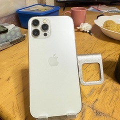 iphone 12pro max sim free
の画像