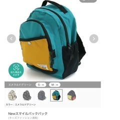 【最終】ブリーズ　リュックの画像