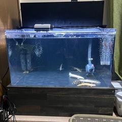 アクリル水槽
