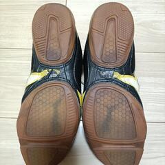 プーマV1.08サラフットサルの画像