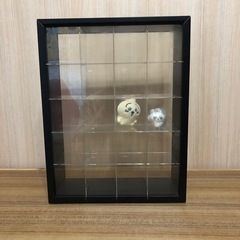 コレクションケース