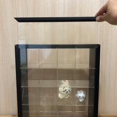 コレクションケースの画像