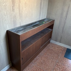 鉢植え置けるパーテーション　無料の画像