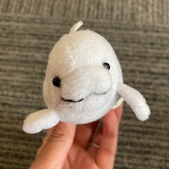 シロイルカ　ぬいぐるみ　マスコット　人気の画像