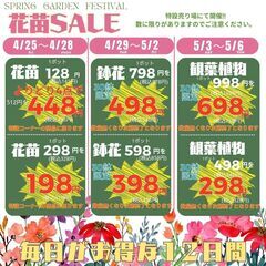 4月25日(金)～5月6日(火)☆春の園芸まつり☆【花夢館神戸店】 - 地域/お祭り