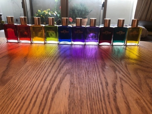 センセーションカラーボトル10本セット