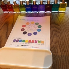 センセーションカラーボトル10本セットの画像