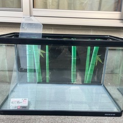 曲げガラス水槽の中古が安い！激安で譲ります・無料であげます