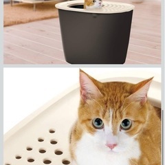 猫用トイレ本体のみ の画像
