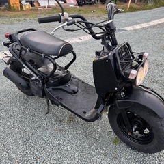 【2024春夏新作】 熊本県のホンダ ズーマー バイクの中古が安い！激安で譲ります その他
