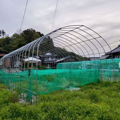 ビニールハウス　新品未使用