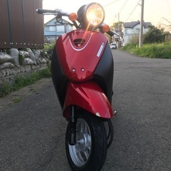 HONDA TODAY AF67 