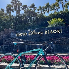 Bianchi VIANIRONE7 コンポーネントSORA 2×9【塗装あり】 の画像