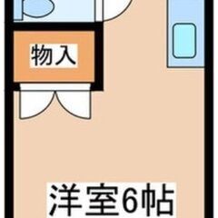 契約金0円でご契約できます🥹🧡審査等ぜひご相談ください😊ペット飼...