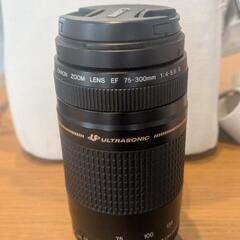 CANON EOS Kiss7x 
望遠レンズの画像