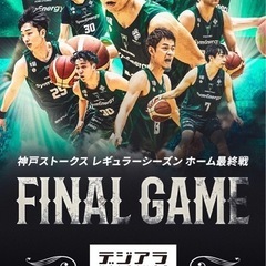 神戸ストークス　　観戦チケット　　　