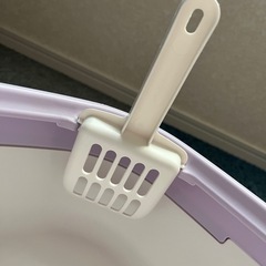 猫トイレ　大きい の画像