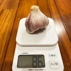 沖縄県産　生にんにく　ニンニクの画像
