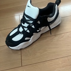 未使用NIKEシューズの画像