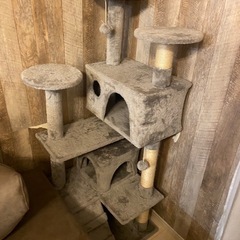お譲り先決まりました。 【美品】キャットタワー