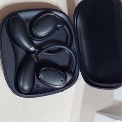 イヤホン翻訳機 通訳機 Chamequinho V18 イヤホン型 AI翻訳機 150言語対応 リアルタイ翻訳 4つの翻訳モード高精度 通話 音楽再生 Bluetooth ハンズフリー 英語 中国語 フランス語 イタリア語 日本語 （オンライン式、オフライン式対応の画像