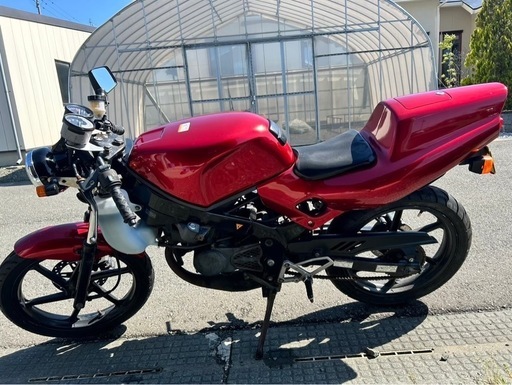 NS-1 後期型 ネイキッド仕様