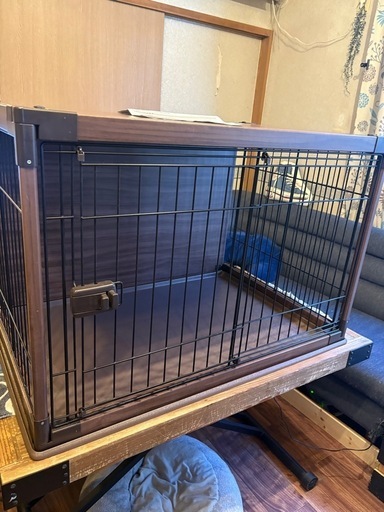 ペットケージ ショップ