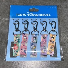 ディズニーリゾート　キーチェーン　ストラップ　5個セット　新品未開封