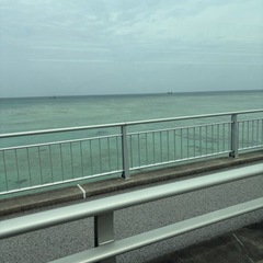 ママチャリのやつです。の画像