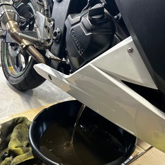 NINJA 250L 自賠責満タン　引き取り希望の画像