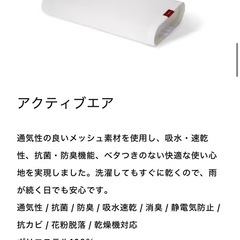 ブレインスリープピロー(専用カバー2枚付)の画像