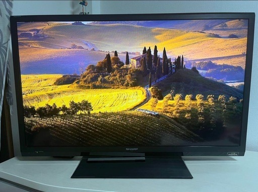ジャンク品 TLC 液晶テレビ 40型 (thalyta) 本吉原のテレビ