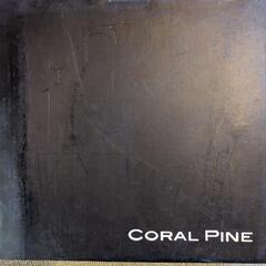新品　CORAL Pine 皿　の画像
