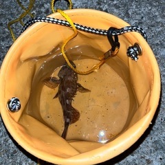 釣りを一緒に楽しめる人募集です(釣り友達) - 明石市