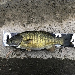 釣りを一緒に楽しめる人募集です(釣り友達) − 兵庫県