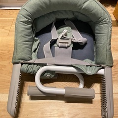 イングリッシーナ　ピスタチオカラー