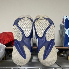 NIKE靴Zの画像