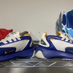 NIKE靴Zの画像