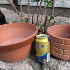植木鉢など2