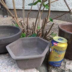 植木鉢など2の画像