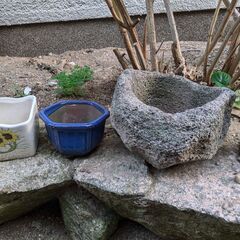 植木鉢など3の画像