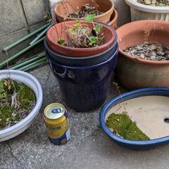 植木鉢など3の画像