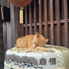外国人の方と仲良くなりたいです - 友達