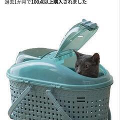 猫用品