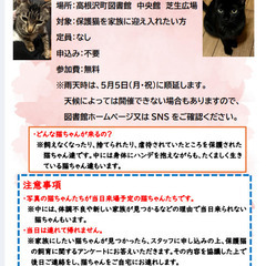 【保護猫譲渡会】in  栃木県高根沢町