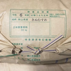令和六年岡山県北産　きぬむすめ玄米30キロ