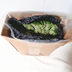 新品 寝袋 シュラフ オールシーズン 春秋用 1.4Kg 封筒型 軽量 丸洗い可の画像
