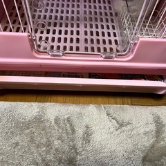18・19日限定うさぎゲージの画像