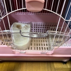 18・19日限定うさぎゲージの画像